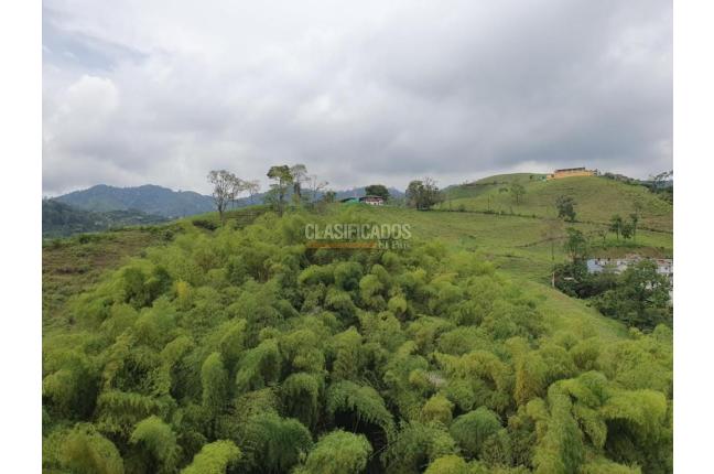 Apartamentos, Alquiler, Pereira - $900.000