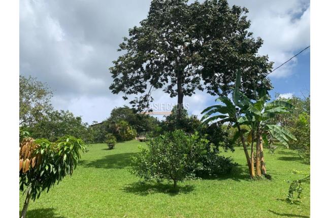 Fincas y Casas Campestres, Venta, Dagua - $680.000.000