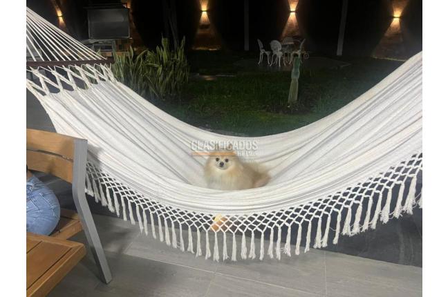 Fincas y Casas Campestres, Venta, Pereira - $3.500.000.000