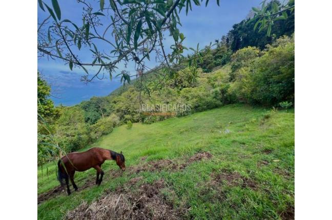 Fincas y Casas Campestres, Venta, Yumbo - $1.700.000.000