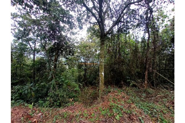 Lotes, Venta en Yumbo