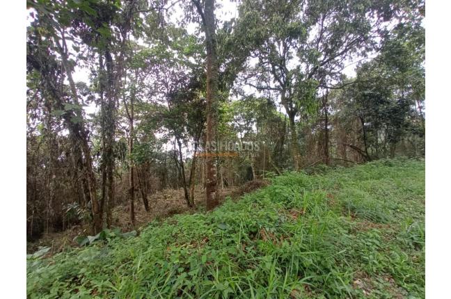 Lotes, Venta en Yumbo