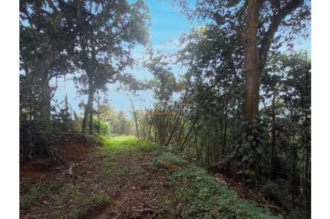 Lotes, Venta, Yumbo - $1.550.000.000