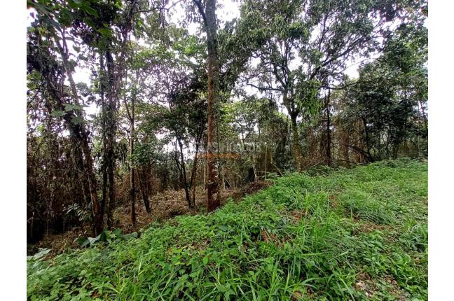 Lotes, Venta, Yumbo - $1.550.000.000