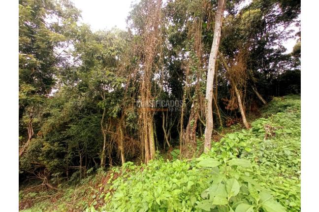 Lotes, Venta, Yumbo - $1.550.000.000