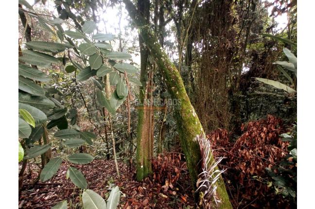 Lotes, Venta, Yumbo - $1.550.000.000