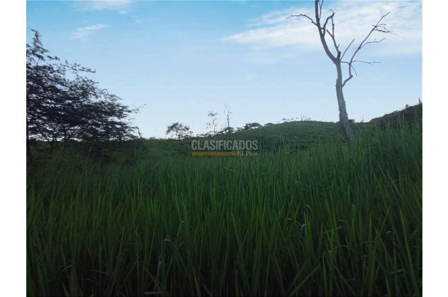 Lotes, Venta, Yumbo - $515.000.000