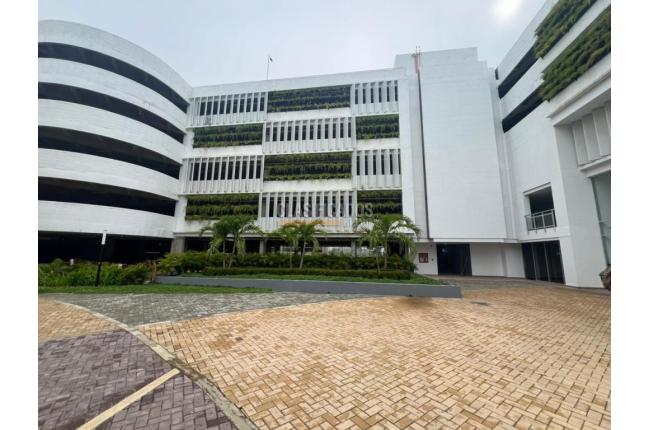 Apartamentos, Alquiler en Cartagena