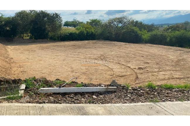 Lotes, Venta, Buga - $250.000.000