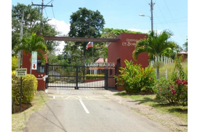 Lotes, Venta, Dagua - $260.000.000