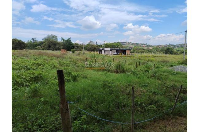 Lotes, Venta en Palmira