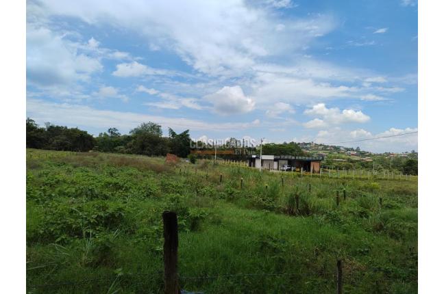 Lotes, Venta en Palmira