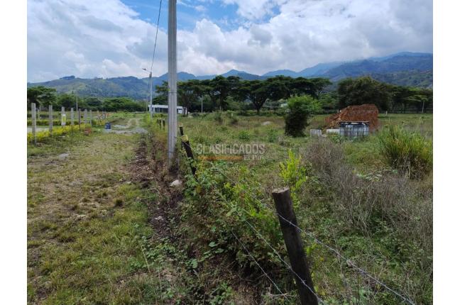 Lotes, Venta, Palmira - $944.000.000