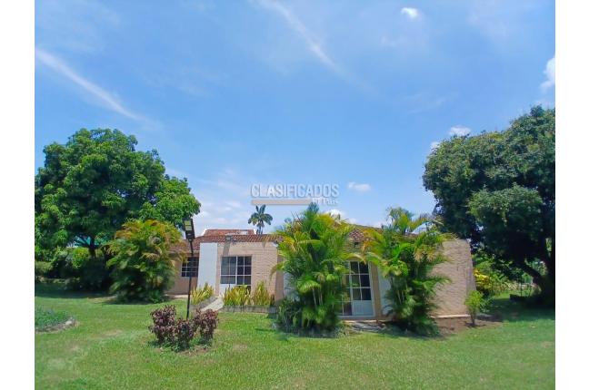 Casas, Alquiler en Pance