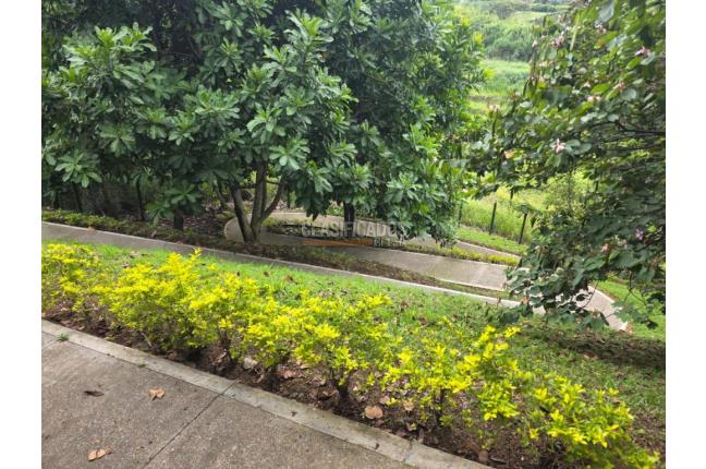 Apartamentos, Alquiler, Pereira - $3.900.000