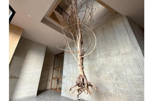 Apartamentos, Alquiler, Bellavista - $12.500.000