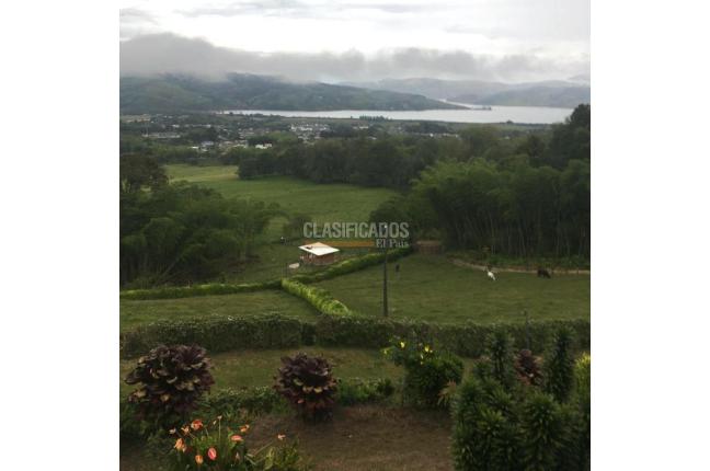 Casas, Venta, Calima (Darién) - $850.000.000