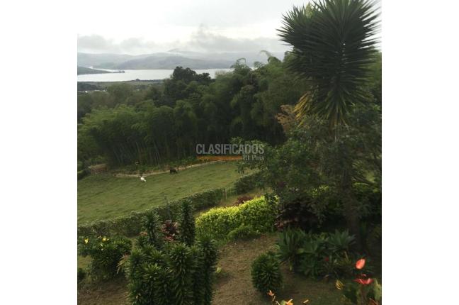 Casas, Venta, Calima (Darién) - $850.000.000