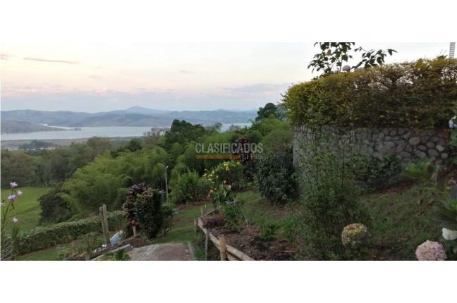 Casas, Venta, Calima (Darién) - $850.000.000