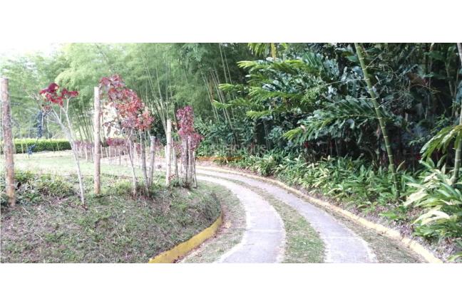 Casas, Venta, Calima (Darién) - $850.000.000