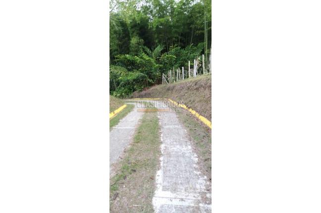 Casas, Venta, Calima (Darién) - $850.000.000