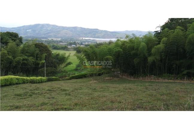 Casas, Venta, Calima (Darién) - $850.000.000