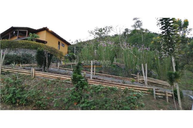 Casas, Venta, Calima (Darién) - $850.000.000