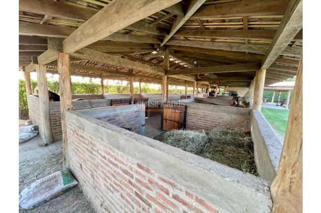 Casas, Venta, Palmira - $2.800.000.000