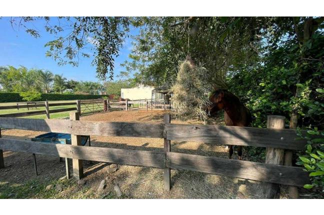 Casas, Venta, Palmira - $2.800.000.000