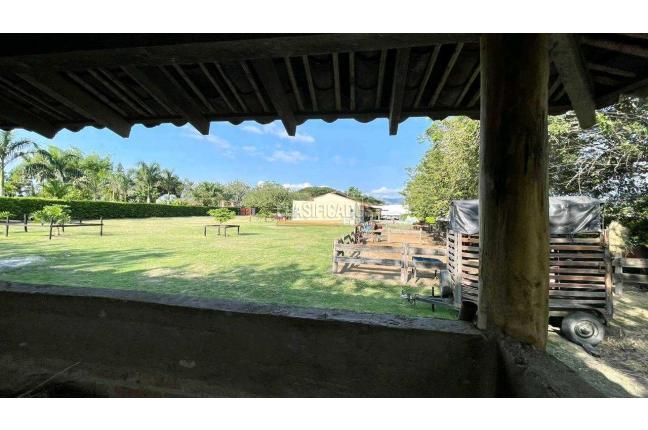 Casas, Venta, Palmira - $2.800.000.000