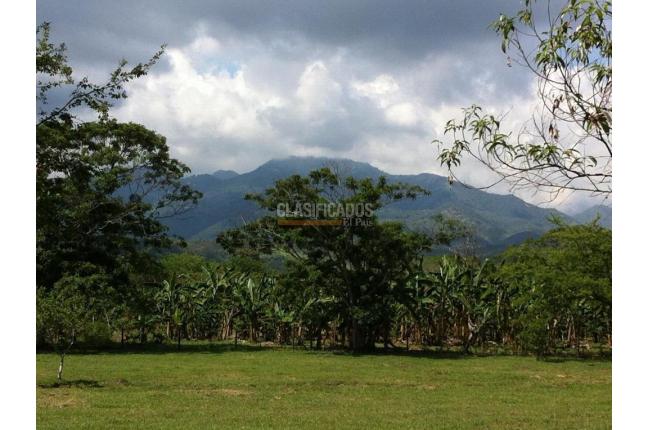 Lotes, Venta en Pance