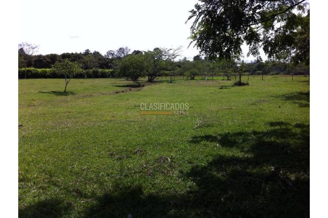 Lotes, Venta en Pance