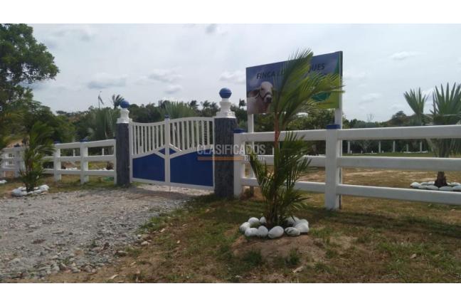 Fincas y Casas Campestres, Venta en Villavicencio
