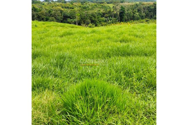 Fincas y Casas Campestres, Venta, Villavicencio - $2.160.000.000