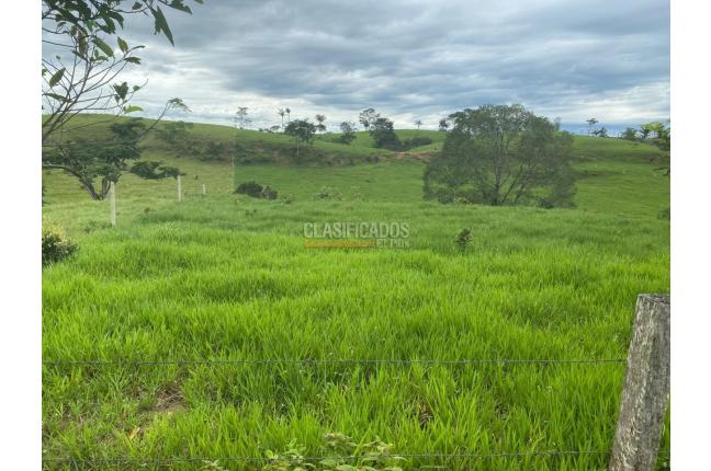 Fincas y Casas Campestres, Venta, Villavicencio - $2.160.000.000