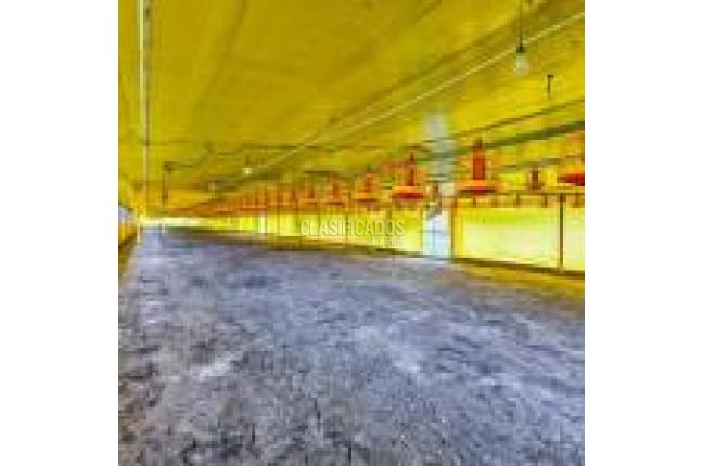 Fincas y Casas Campestres, Venta en Santander de Quilichao