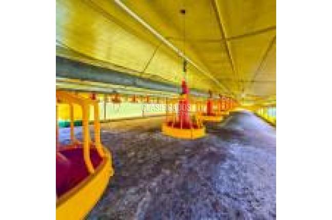 Fincas y Casas Campestres, Venta en Santander de Quilichao