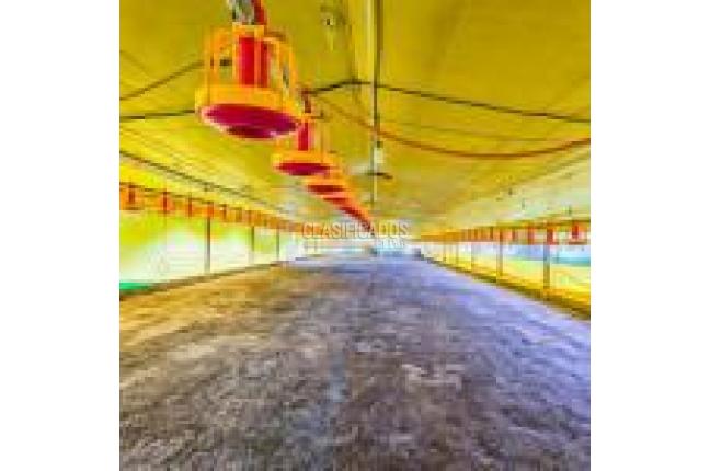 Fincas y Casas Campestres, Venta en Santander de Quilichao