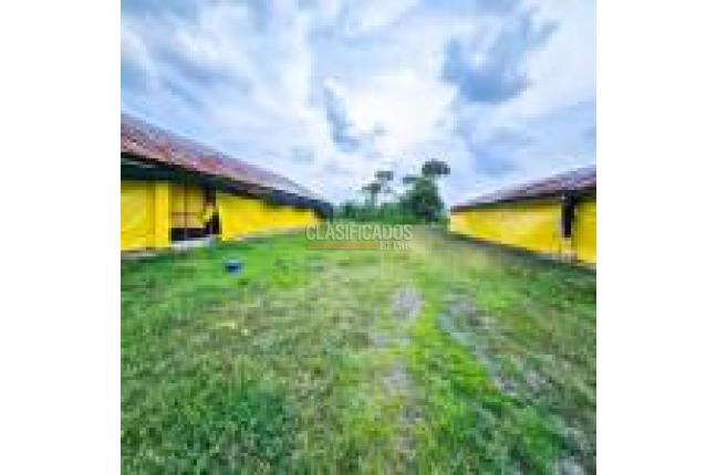 Fincas y Casas Campestres, Venta, Santander de Quilichao - $1.200.000.000