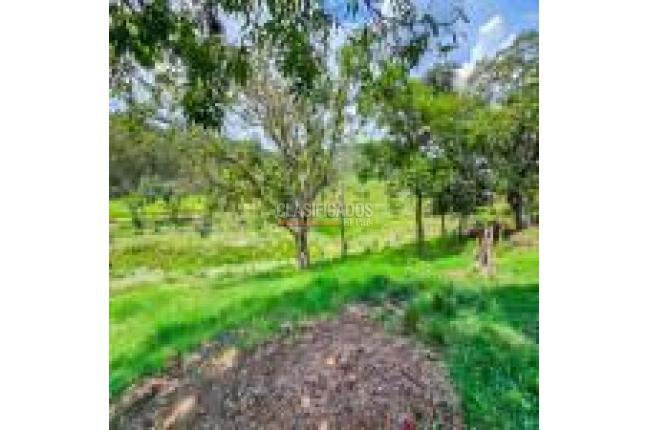 Fincas y Casas Campestres, Venta, Santander de Quilichao - $1.200.000.000