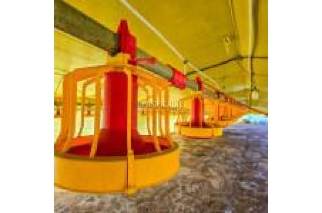 Fincas y Casas Campestres, Venta, Santander de Quilichao - $1.200.000.000