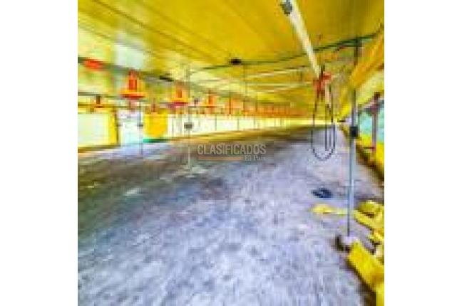 Fincas y Casas Campestres, Venta, Santander de Quilichao - $1.200.000.000