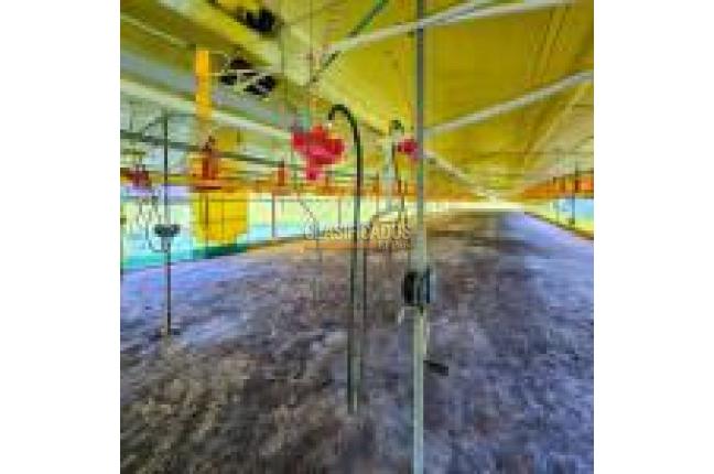 Fincas y Casas Campestres, Venta, Santander de Quilichao - $1.200.000.000