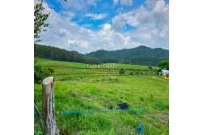 Fincas y Casas Campestres, Venta, Santander de Quilichao - $1.200.000.000