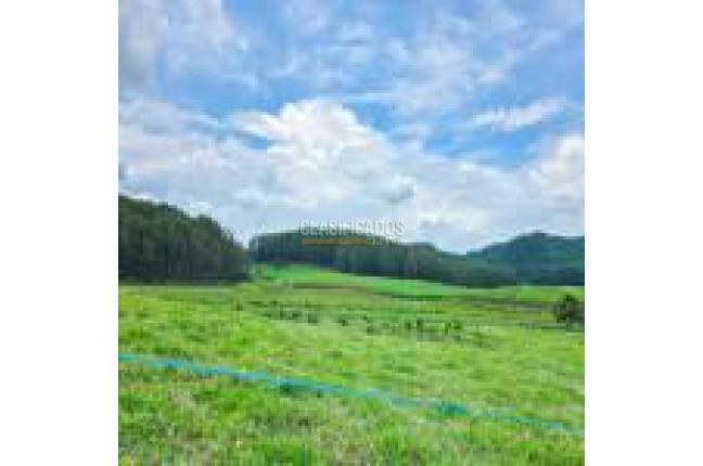 Fincas y Casas Campestres, Venta, Santander de Quilichao - $1.200.000.000