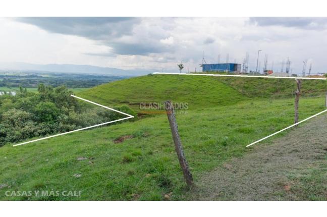 Lotes, Venta en Palmira