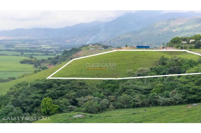 Lotes, Venta, Palmira - $650.000.000