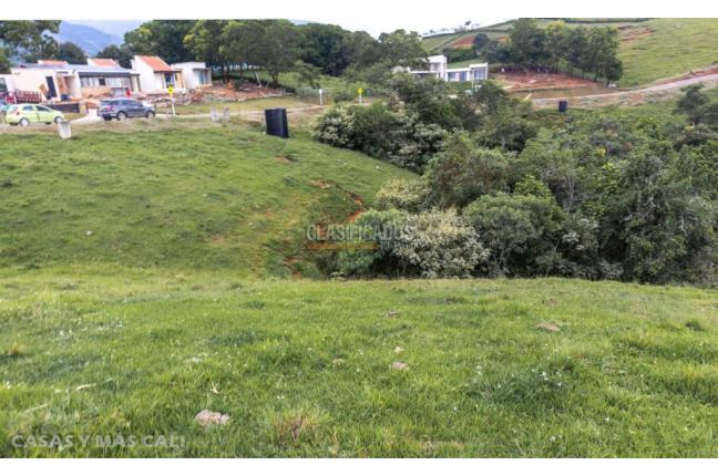 Lotes, Venta, Palmira - $650.000.000