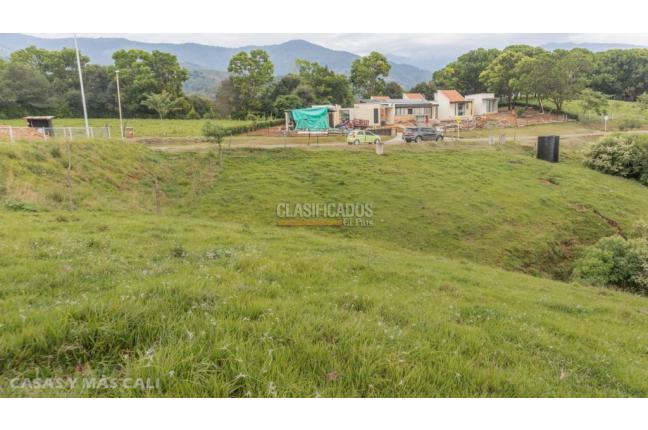Lotes, Venta, Palmira - $650.000.000