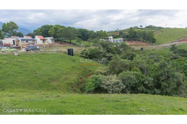 Lotes, Venta, Palmira - $650.000.000